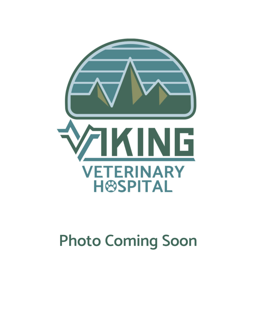 Veterinarian In Nampa, ID 83687 Viking Veterinary Hospital