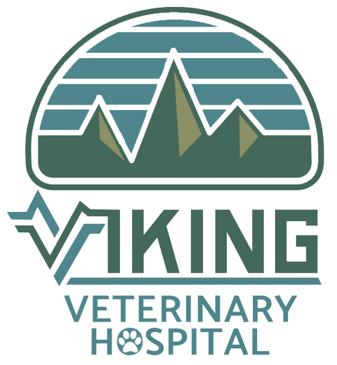 Viking-Veterinary-Hospital-Logo-footer